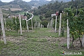 VBS_7874 - Là, dove finisce la strada, comincia un mondo